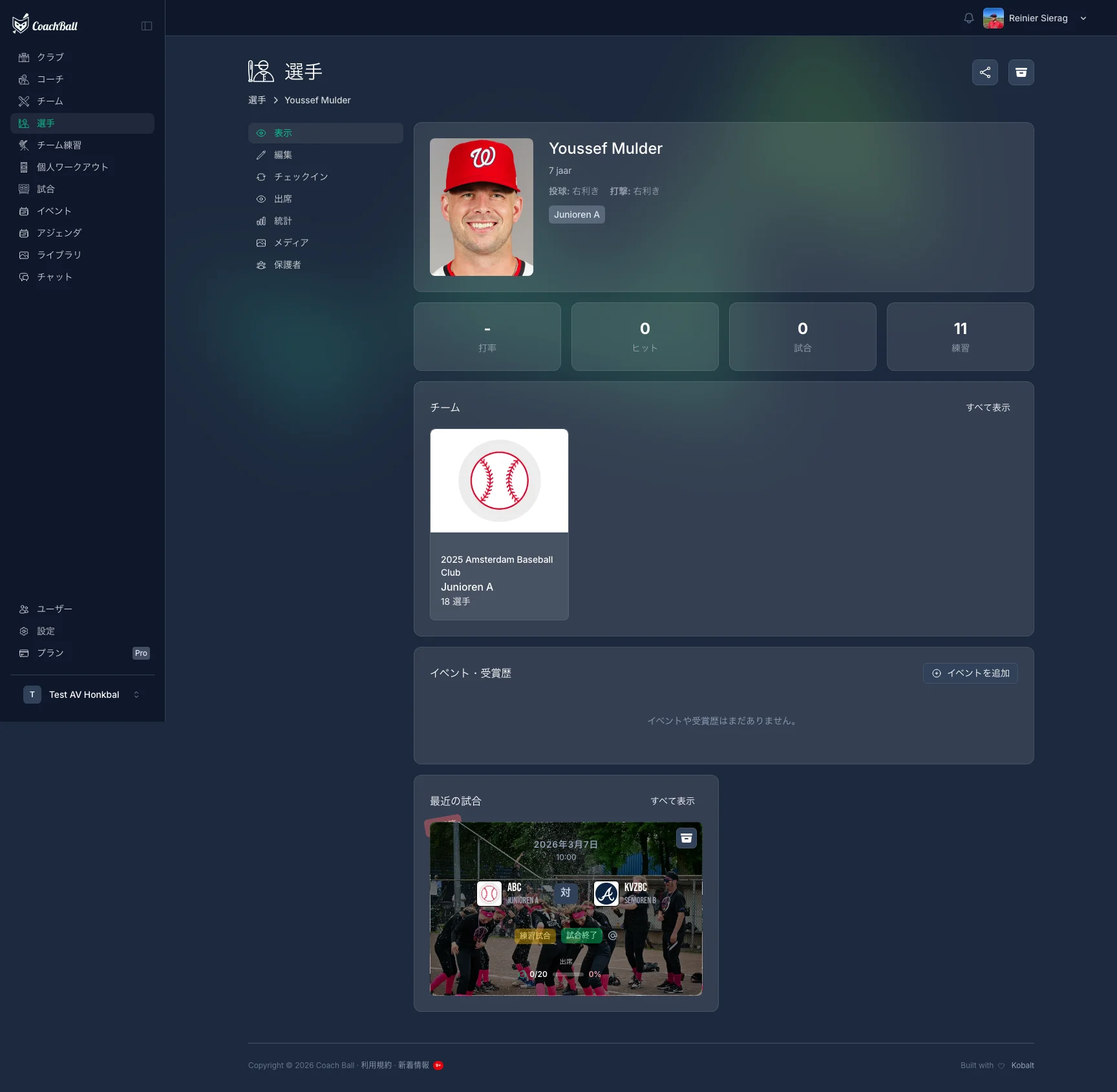 Example of a player profile